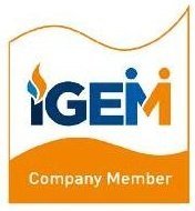 IGEM
